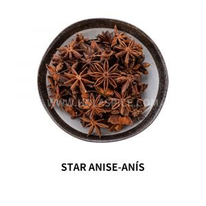 Star Anis-Anis
