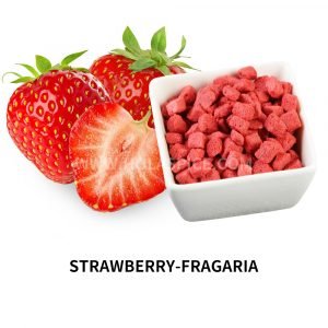 Freeze dried Strawberry-Fragaria