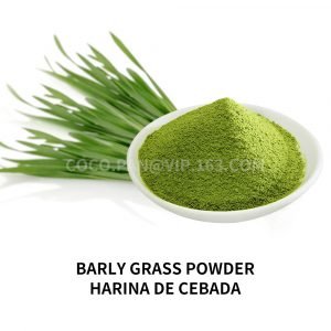 Barely Grass powder-Harina de cebada