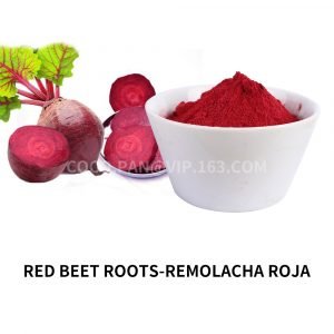 Red beet roots powder -Remiolacha roja