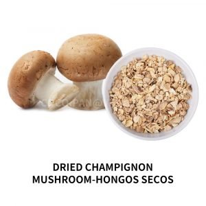 Dried champignon mushroom -Hongos secos