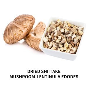Dried hiitake mushroom cubes