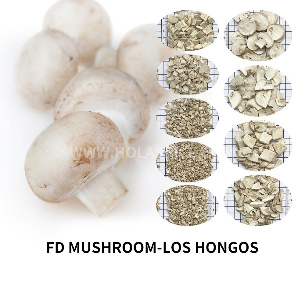 Freeze dried mushroom