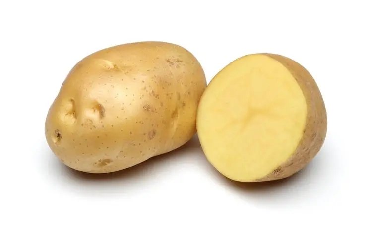 Top Quality Food Grade Food Additives Dehydrated Potato Flakes/Slice - Image 2