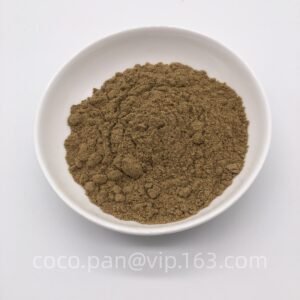 Fennel seeds powder