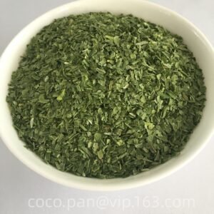 Green onion minced