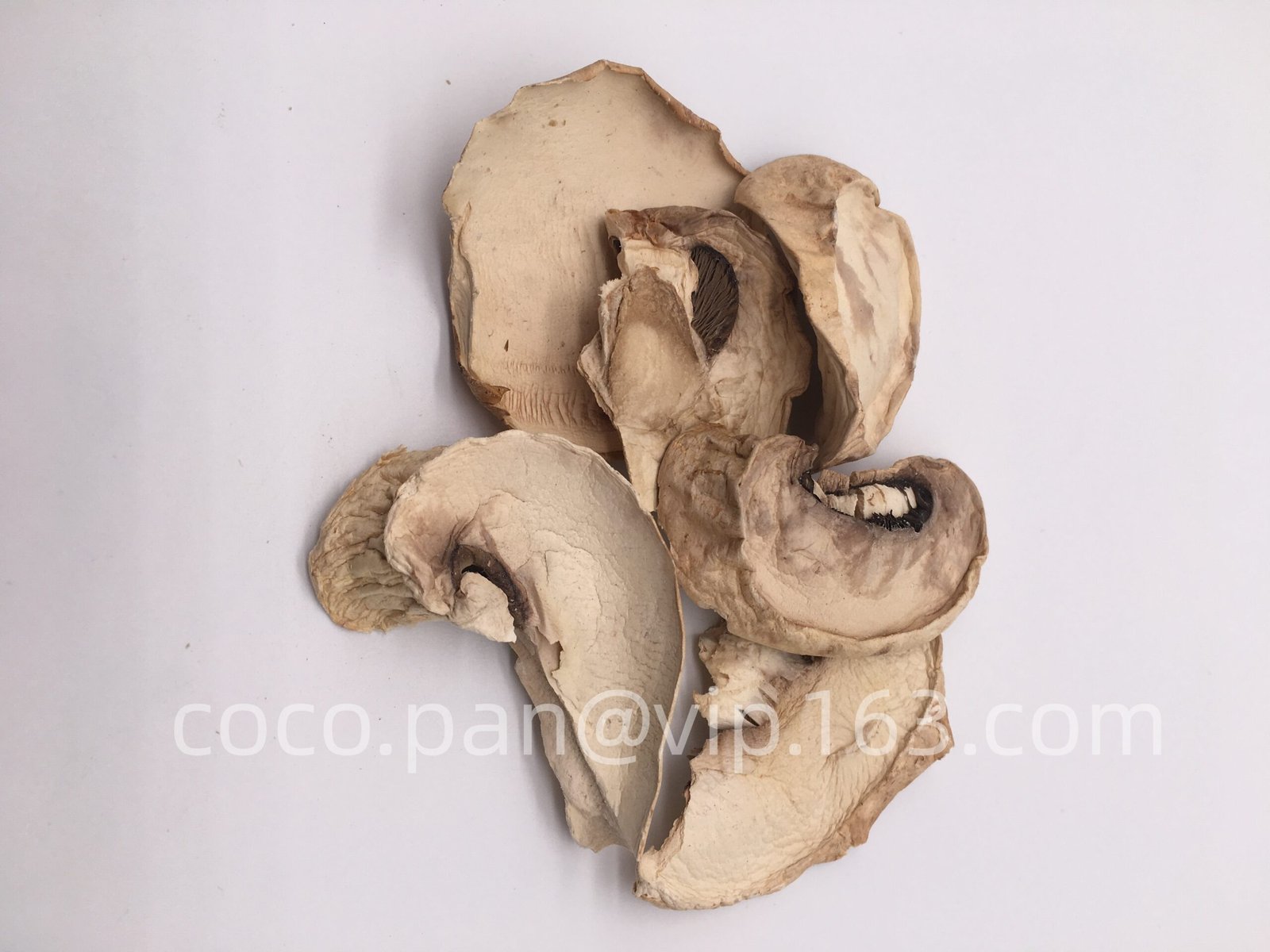 Dried champignon mushroom flakes - Image 2