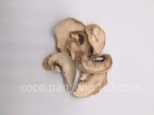 Dried champignon mushroom flakes