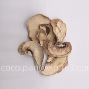 Dried champignon mushroom flakes