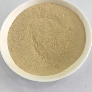 Roasted garlic powder